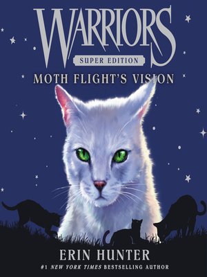 cover image of Moth Flight's Vision